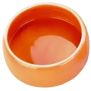 Nobby Mangeoire en Terre Cuite pour Rongeur Orange Diamètre 12 cm pas cher