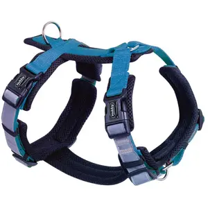 Nobby Harnais DAILY WALK COMFORT, Accessoire Chien, bleu clair, taille S : tour de poitrine : 30-36 cm, ventre : 46-56 cm, 1 pièce pas cher