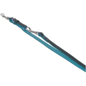 Nobby Laisse Pacific, 2 m/14 mm, turquoise pas cher