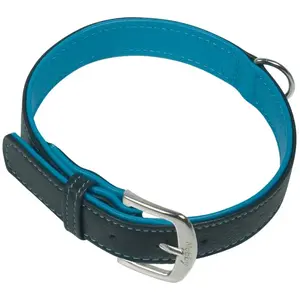 Nobby Collier « PACIFIC » Turquoise 52 cm (41-49 cm) 25/28 mmVendu pargalaxus