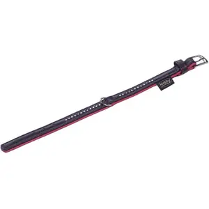 Nobby Collier Pacific DeLuxe une rangée (XS, S, Chien, Sport canin), Collier + laisse pas cher
