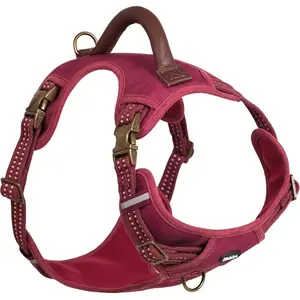 Nobby Sporty (L, Chien, Promenade), Collier + laisse pas cher
