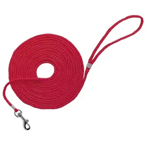 Nobby Laisse de recherche ronde (Chien), Collier + laisse pas cher