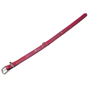 Nobby Collier Crystal une rangée (S, Chien, Sport canin), Collier + la... pas cher