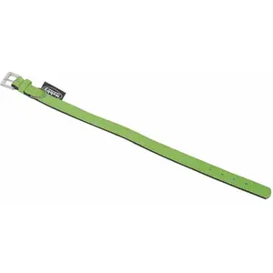 Nobby South Collier, 52 cm, vert
