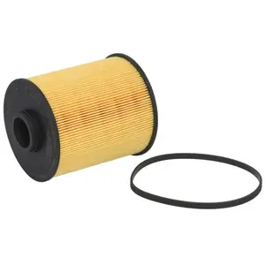 Hengst E53KP D61 Filtre à carburant pas cher