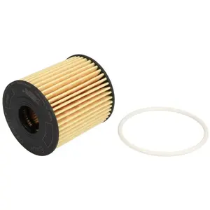 Hengst E44H D110 Filtre à huile pas cher