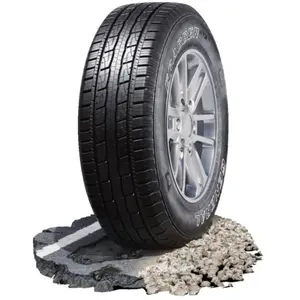 General Grabber HTS 60 245/65 R17 111T pas cher