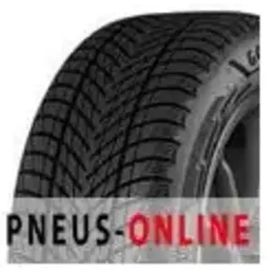 Goodyear UltraGrip Performance 3 255/45 R20 105H pas cher
