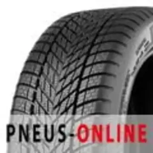 Dunlop Winter pas cher