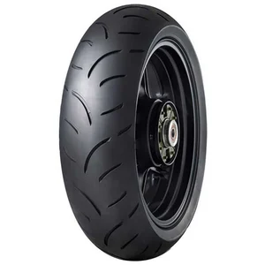 DUNLOP 130/70 R16 61W SPM.QualIF 2 Pneu Moto Route pas cher