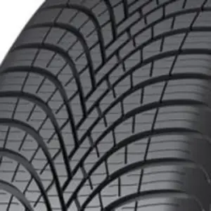 Sava All Weather 175/65 R14 82T pas cher