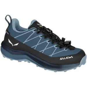 Comparateur de prix : Salewa Chaussures De Trail Running Wildfire 2 Ptx K