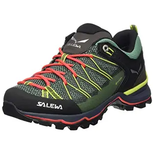 Salewa Chaussures D´approche Mtn Trainer Lite Goretex pas cher