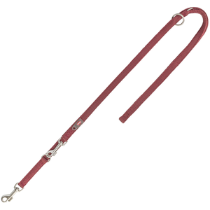Trixie Hondenriem Premium Verstelbaar Tweelaags Sangria - 200X1,5 Cm (S, Chien, Sport canin), Collier + laisse pas cher