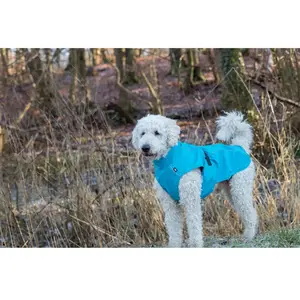 Trixie Hondentrui - Vimy - Blauw - Ruglengte 25 cm - XXS pas cher