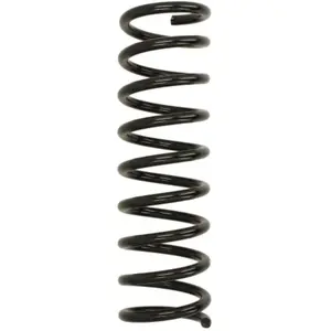 Chassisveer R11074 Eibach pas cher