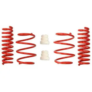 Eibach Federn Chassis veren pas cher