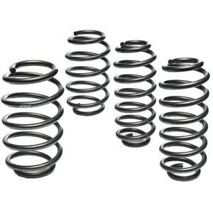 Eibach Federn Chassis veren pas cher