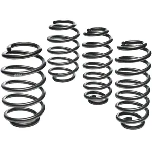Eibach Federn Chassis veren pas cher