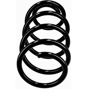 Chassisveer R10439 Eibach pas cher