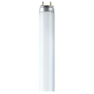 Osram L 36 W/840-1 Tube Fluorescent 25 x 1 LF pas cher