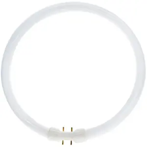 Osram Lumilux T5 Circulair FC 22W - 840 Koel Wit | 23cm pas cher