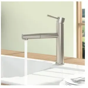 Villeroy & Boch, Robinetterie de cuisine, V&B Mitigeur monocommandé pour évier COMO SKY SHOWER Douchette intégrée Acier inoxydableVendu pargalaxus