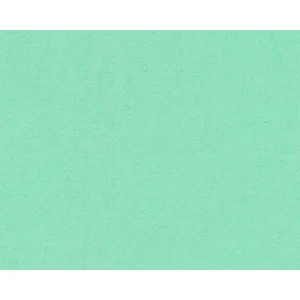 KLASSIEK UNI BEHANG - Groen Metallic - AS Creation Versace 4 pas cher