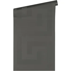 "GRIEKSE SLEUTEL" SATIJN GLANZEND BEHANG | Design - grijs zilver - A.S. Création Versace 5Vendu parbol