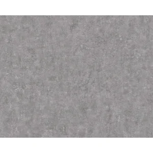 BETON BEHANG | Industrieel - donker grijs - A.S. Création My Home My S...Vendu parbol