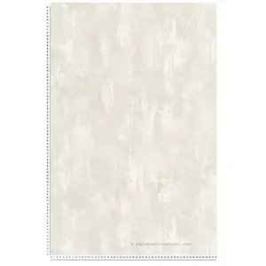 HOME MAISON BETONLOOK BEHANG | Industrieel - grijs wit - A.S. Création Concrete & MoreVendu parbol