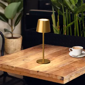 FHL easy, Lampe de table, FHL Roxi LED Tischleuchte 1,5W dimmbar Akku CCT einstellbare Lichtfarbe goldfarben 850846