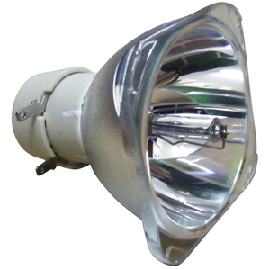 Philips UHP 190W/160W 0.9 E20.9 lampe de projecteur pour divers projecteurs - ECL-1730-UHP