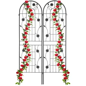 RELAXDAYS plantenklimrek set van 2 - 180 x 50 cm - klimplanten - metaal - zwart pas cher