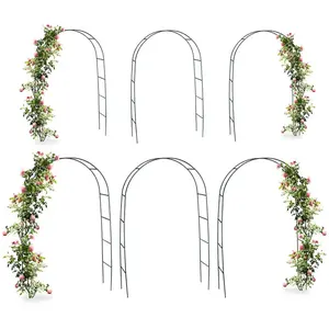 RELAXDAYS Arche pour rosiers et plantes grimpantes, lot de 6, 240 cm, tuteur en métal, résistant aux intempéries, vert pas cher
