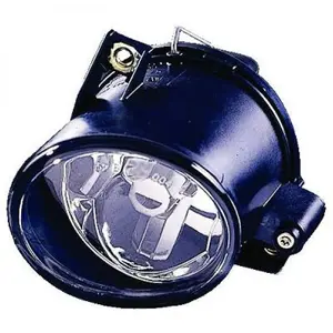 Diederichs Mistlamp pas cher