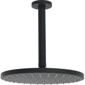 Hansa, Pommeau de douche, VIVA Douche de tête, ronde, diamètre 250mm, 1 jet, montage au plafond, 4427020033 (1 Types de jets, 12 l/min) pas cher