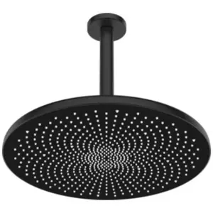 Hansa, Pommeau de douche, Douche de tête AURELIA, diamètre 300mm, 1 je...