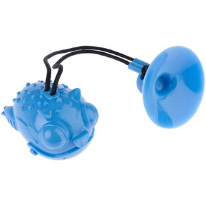 Jeu d'intelligence TIAKI Dragon avec ventouse pour chien - L 12 x l 9 ... pas cher