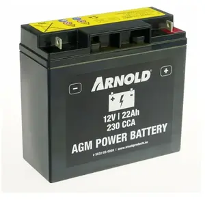 Arnold Batterie AZ109 - AGM 12-22A SLA/VRLA, +Pol rechts, Batteries + piles pas cher