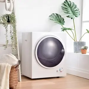 FAIRWHALE Pièces détachées pour lave-linge Sèche-linge 2 5kg Murale Minuterie 200min Filtre Double Chauffage PTC Acier Inoxydable pas cher