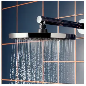 hansgrohe, Pommeau de douche, Activera S (1 Types de jets, 6 l/min) pas cher