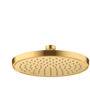 Axor, Pommeau de douche, ShowerSolutions pomme de douche 220, 1 type d... pas cher