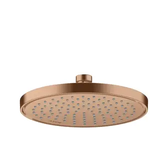 Axor, Pommeau de douche, ShowerSolutions pomme de douche 220, 1 type d... pas cher