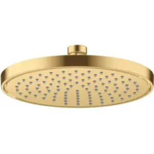 Axor, Pommeau de douche, ShowerSolutions pomme de douche 220, 1 type d... pas cher