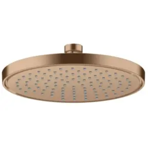Axor, Pommeau de douche, ShowerSolutions pomme de douche 220, 1 type d... pas cher