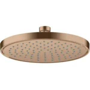 Axor, Pommeau de douche, ShowerSolutions pomme de douche 220, 1 type d... pas cher