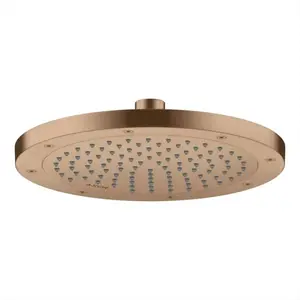 Axor, Pommeau de douche, ShowerSolutions Pommeau de douche 245 1 jet é... pas cher