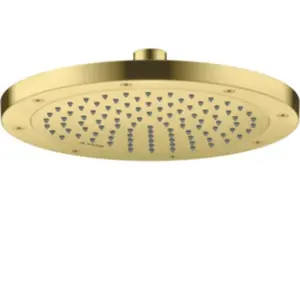 Axor, Pommeau de douche, ShowerSolutions Pommeau de douche 245 1 jet é... pas cher